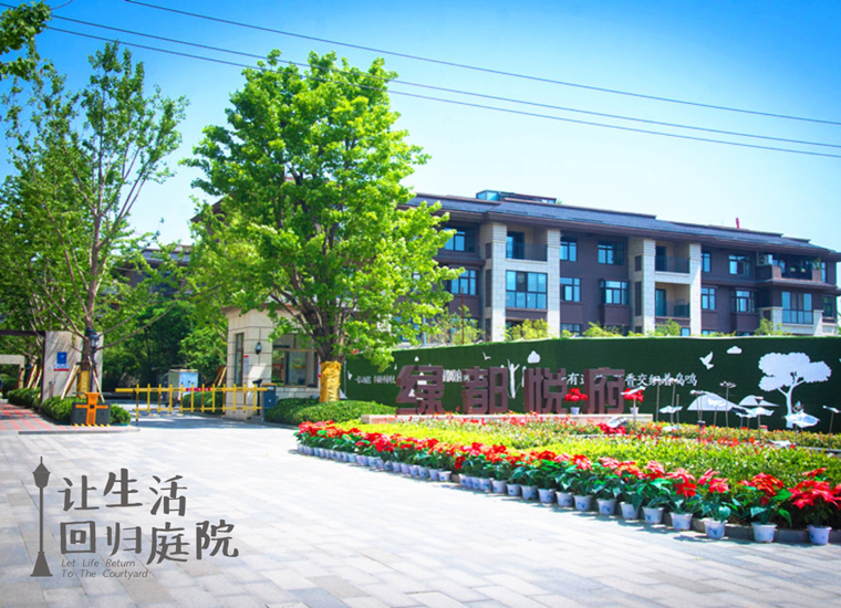 前后张望南阳50年：这样的庭院，，，，，，，很难再有了！