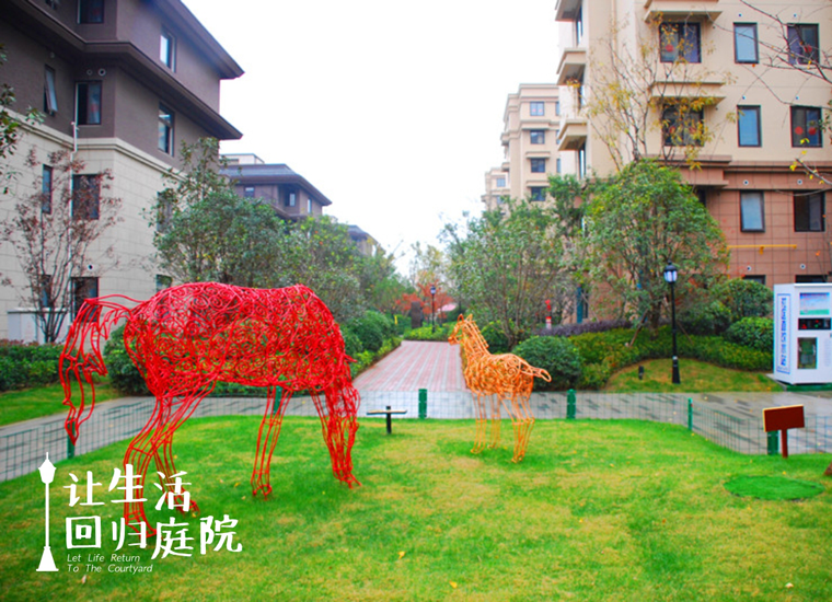 前后张望南阳50年：这样的庭院，，，，，，，很难再有了！