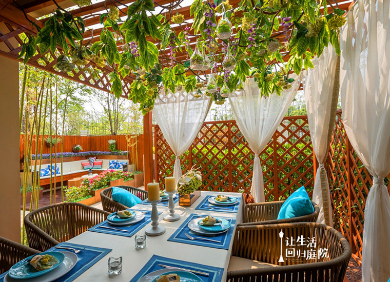 前后张望南阳50年：这样的庭院，，，，，，，很难再有了！