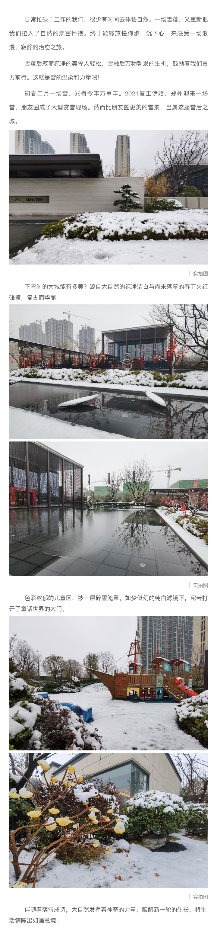 2021浪漫开年，，，，，共赏一场鹅毛大雪！