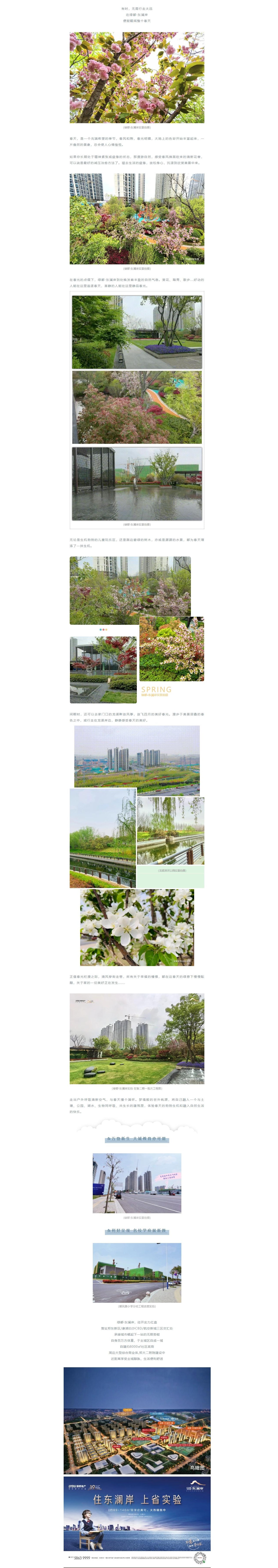 赏花踏青，，，，，来一场和春天的约会