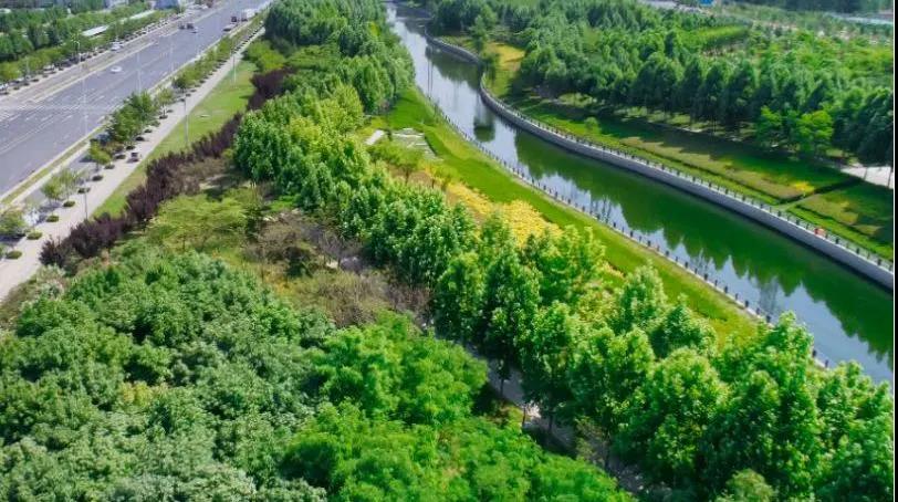 定了！“神兽”线上开学，，，，，，，家里有学生的必看！