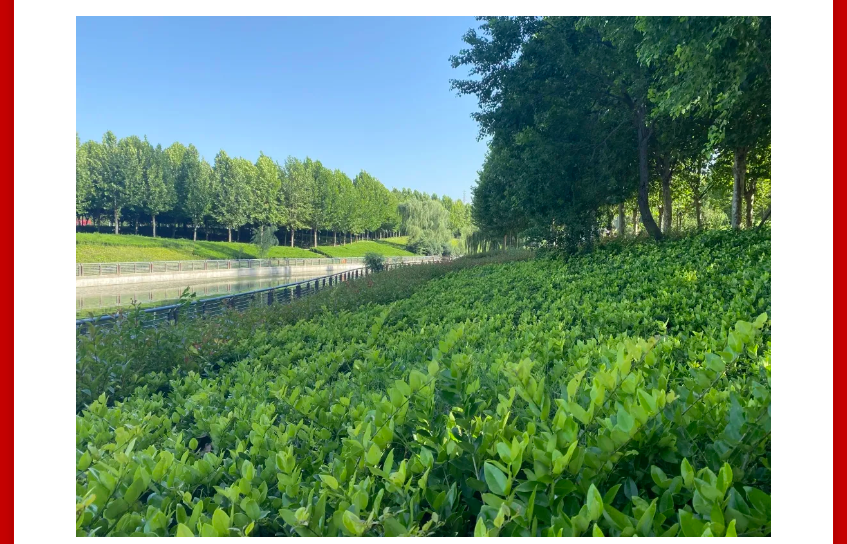 年终薅好房，，，，，，，，这个明星红盘把“出圈”举行究竟！